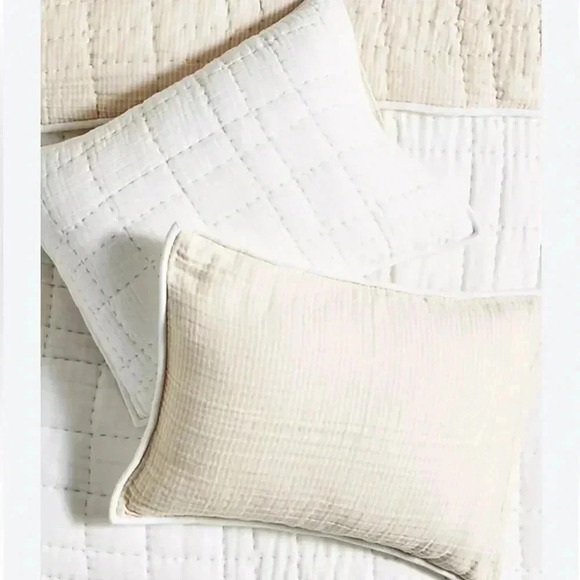 ANTHROPOLOGIE  Airy Gauze EURO Quilted Shams, Set of 2 - Picture 1 of 12